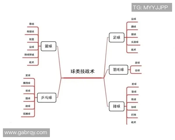 武汉排球队的转换体系与排球战术创新研究分析