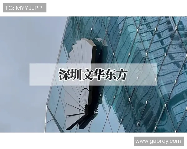 深圳滑板队的意识对比深度解析与未来发展趋势探讨