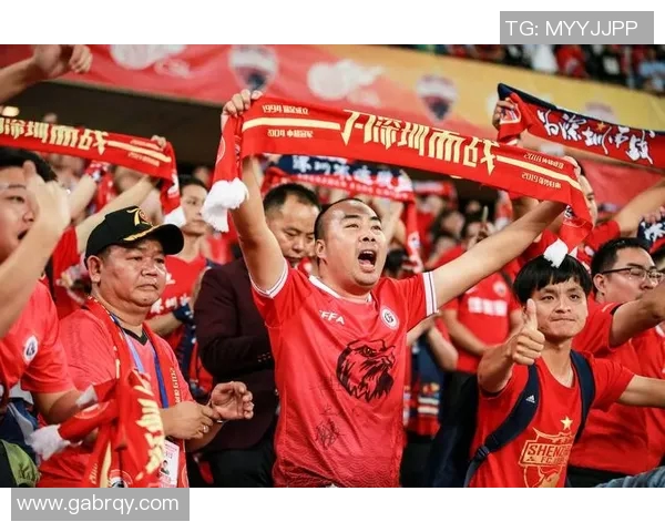 深圳足球队技术争议引发热议球迷与专家各抒己见探讨未来发展方向