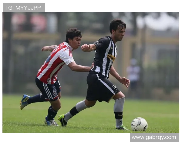 博塔弗戈与弗球队对决精彩纷呈谁能在赛场上笑到最后