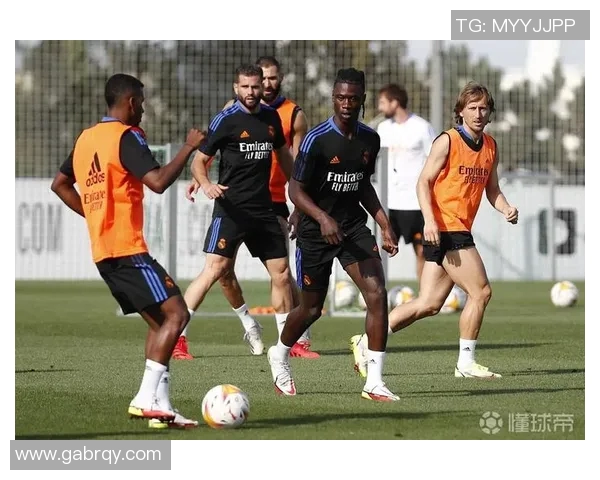 天狼星与法尔肯堡对决分析及比赛前瞻探讨