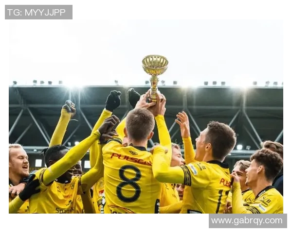 库尔德人对决埃尔夫斯堡精彩赛事回顾与战术分析