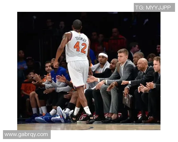 史鸿飞的奋斗历程与成就探索：从平凡到卓越的启示与反思